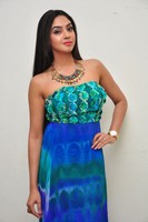 Angana Roy Gallery